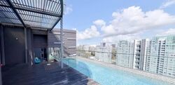 Lucida (D11), Apartment #563212011